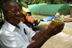 Balade au cœur des plantations de chocolat